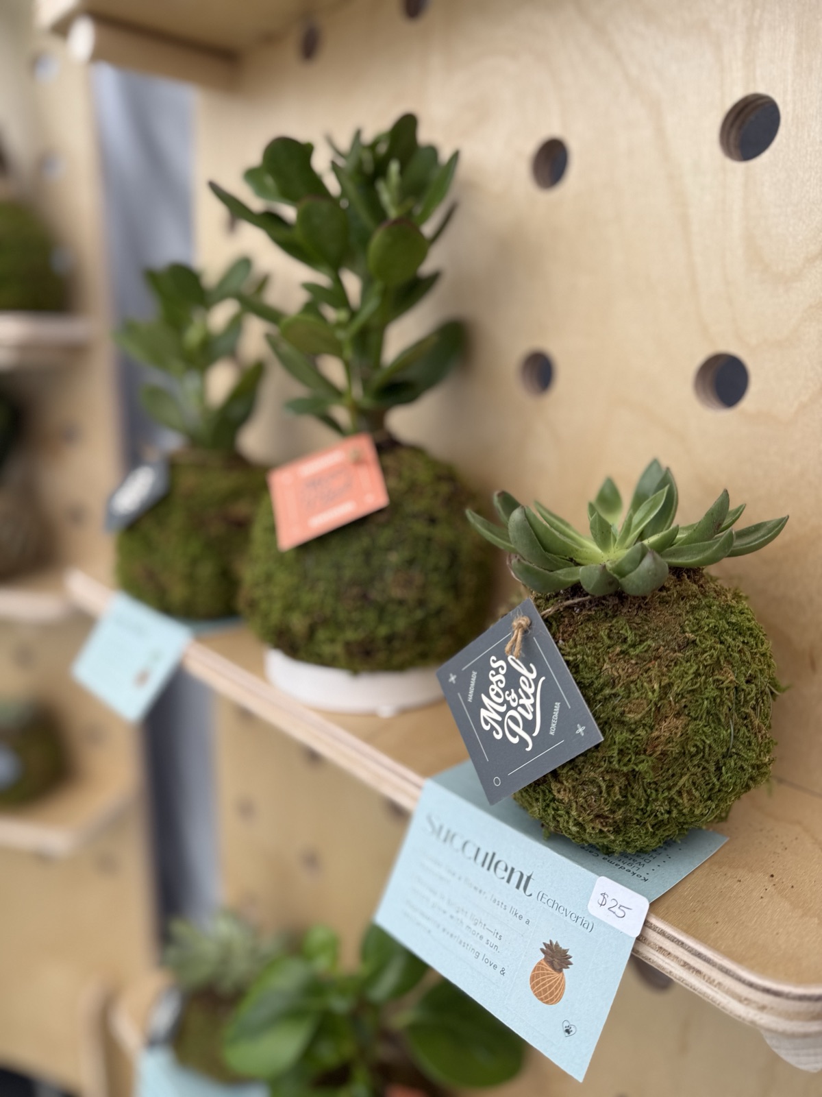 Kokedama